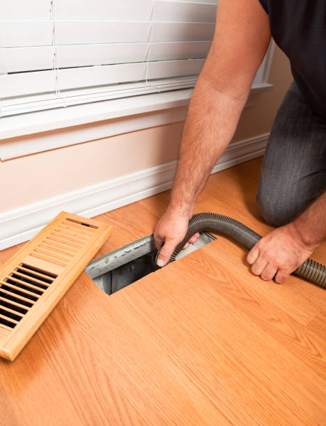 Best Affordable Duct Cleaning Services  in Stony Point, MI